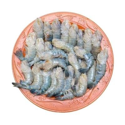 গলদা চিংড়ি